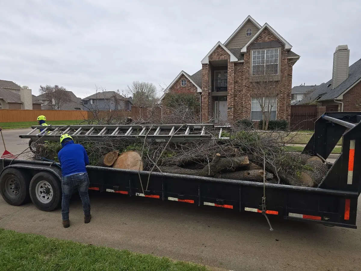 Expert Tree Fertilization with proper safety equipment in Fair Oaks